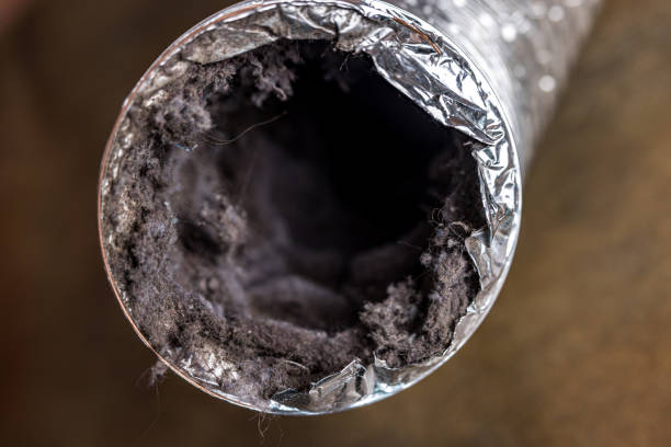Best HVAC Duct Inspection Services  in Bee Cave, TX